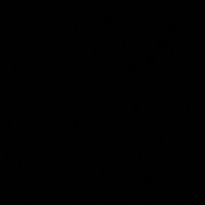 Meet your Posher, Raylee